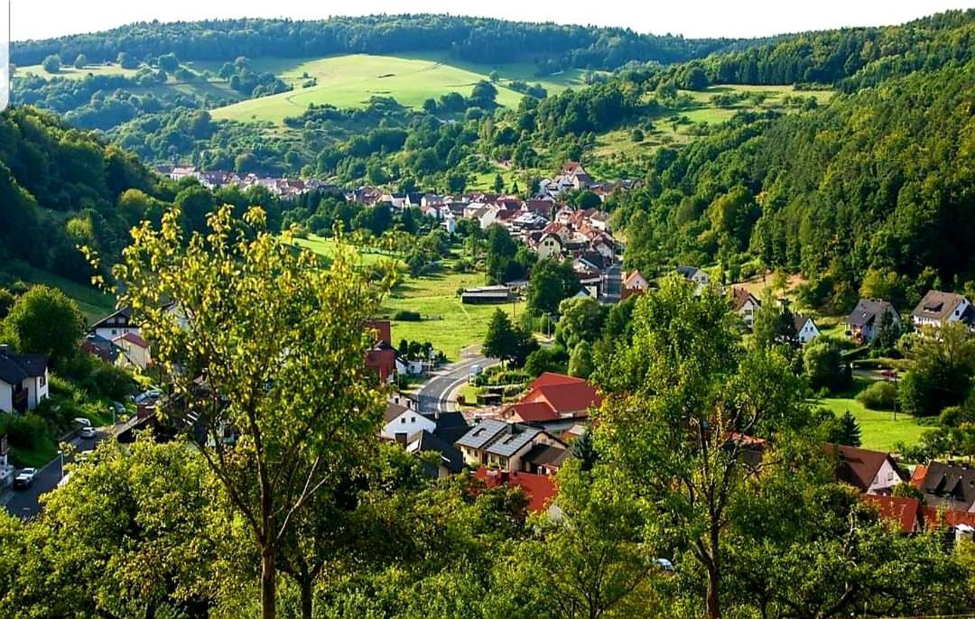 Geishoehe Landgasthof Rose Dammbach Bagian luar foto